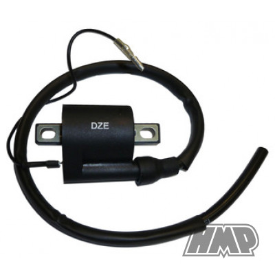 Bobine externa SUZUKI DR / LT / 250 / 400 / 450 / 500 / 700 / 750 YAMAHA YFA / YFM / 50 / 80 / 125 / 250 / 350 / 400 / 450 / 600 / 660 - DZE Bobine externa SUZUKI DR / LT / 250 / 400 / 450 / 500 / 700 / 750 YAMAHA YFA / YFM / 50 / 80 / 125 / 250 / 350 / 400 / 450 / 600 / 660 - DZE